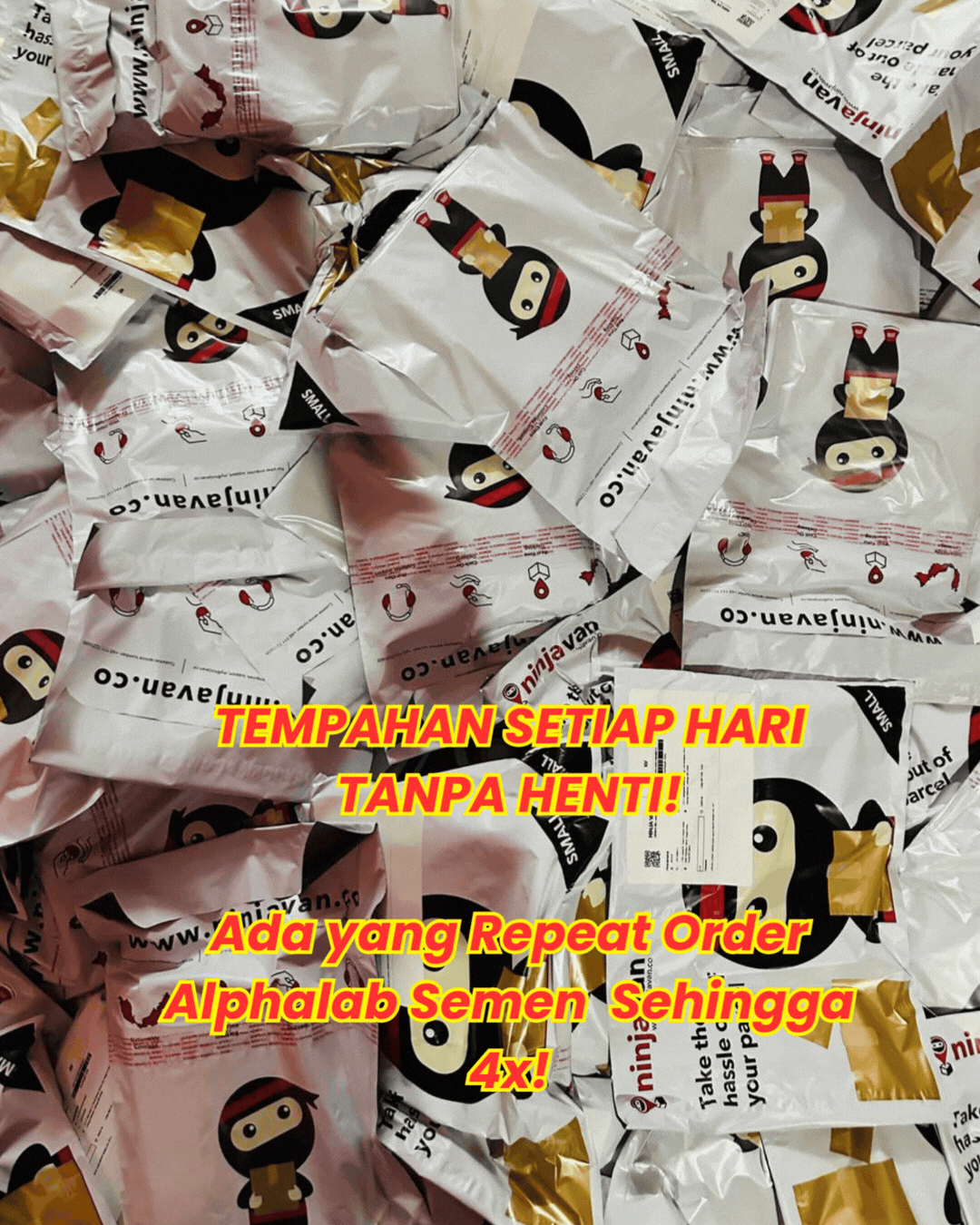Tempahan Setiap Hari