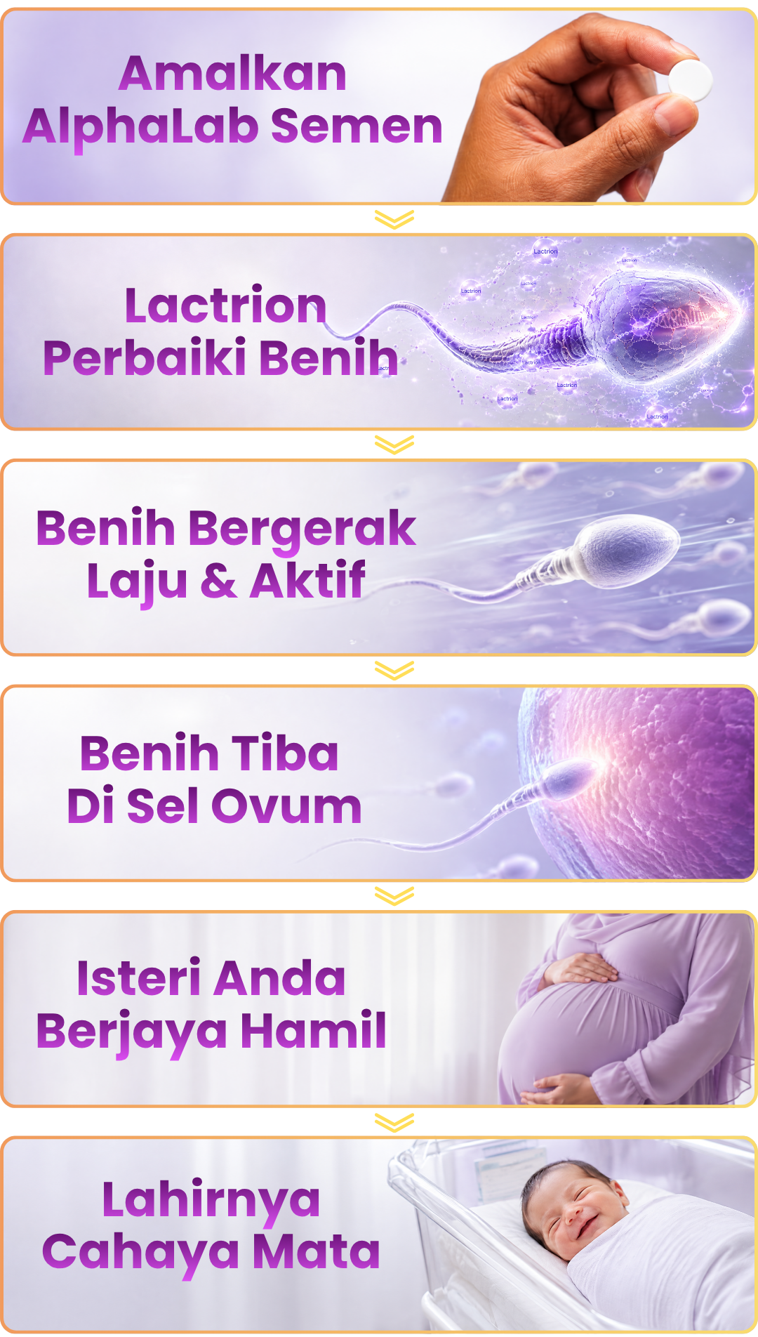 Perjalanan ikhtiar hamil dengan AlphaLab